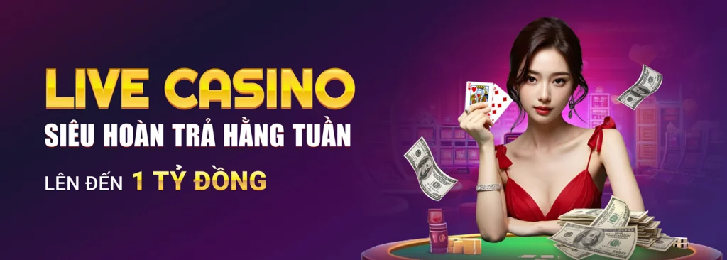 img live casino